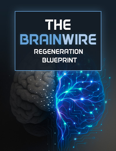 Brainwire Blueprint Digital Guide